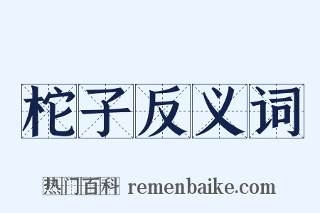 柁子反义词是什么意思的图片